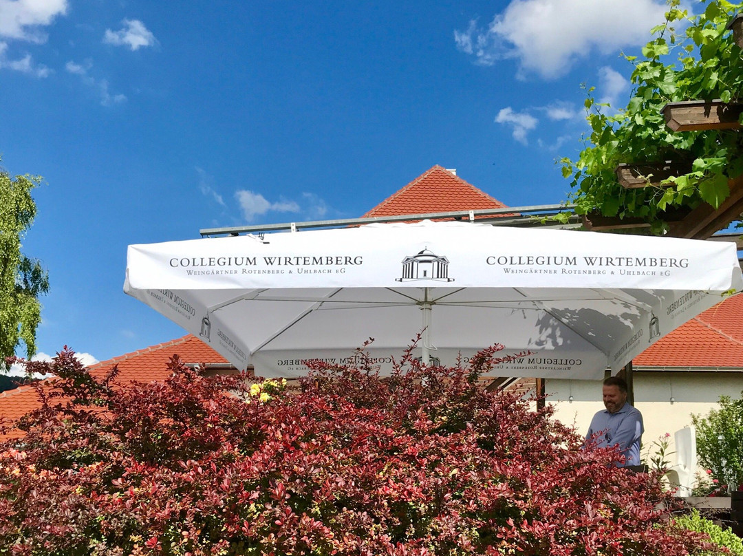 Collegium Wirtemberg景点图片