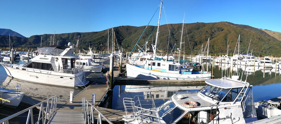 Havelock Holiday Park主图