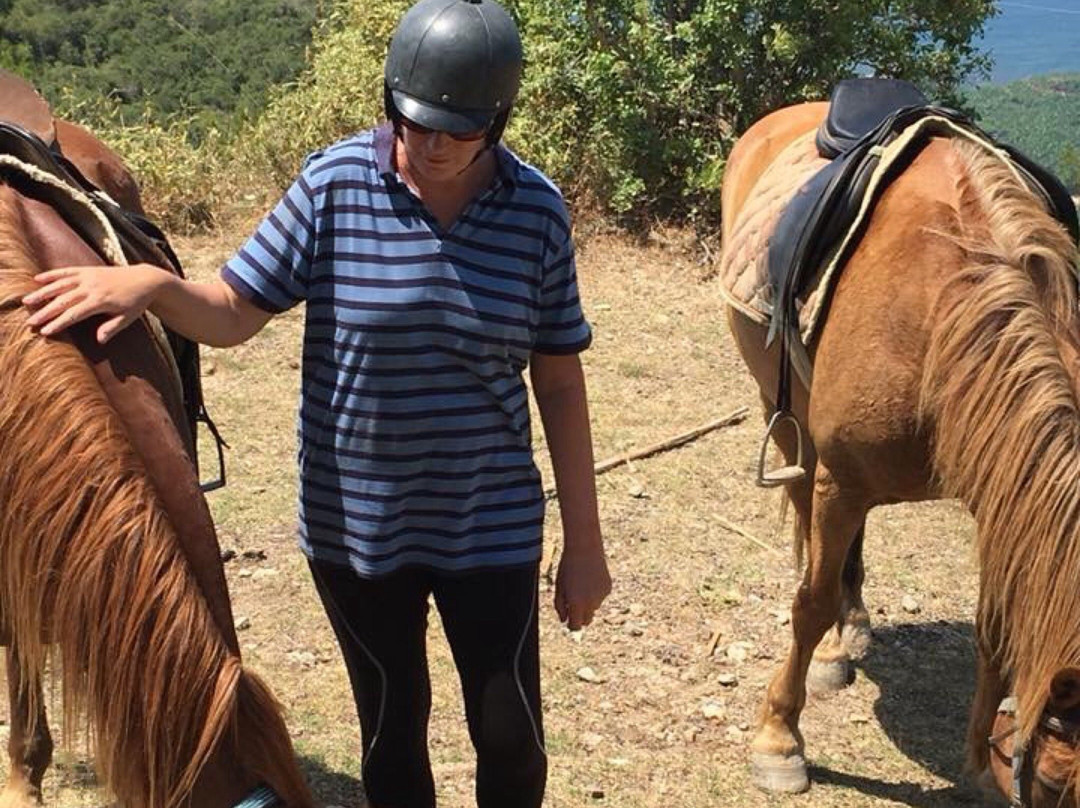 Horse Riding by Tours in Alanya景点图片