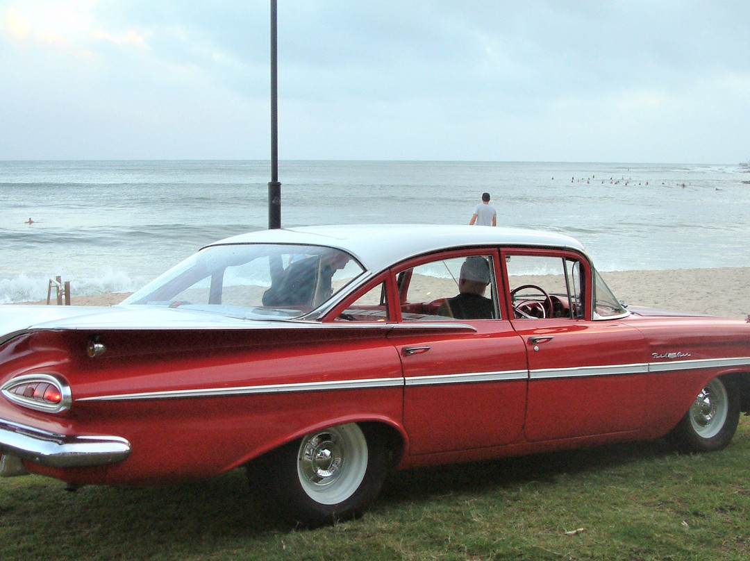 Ultimate Car Tours-Tewantin必去景点