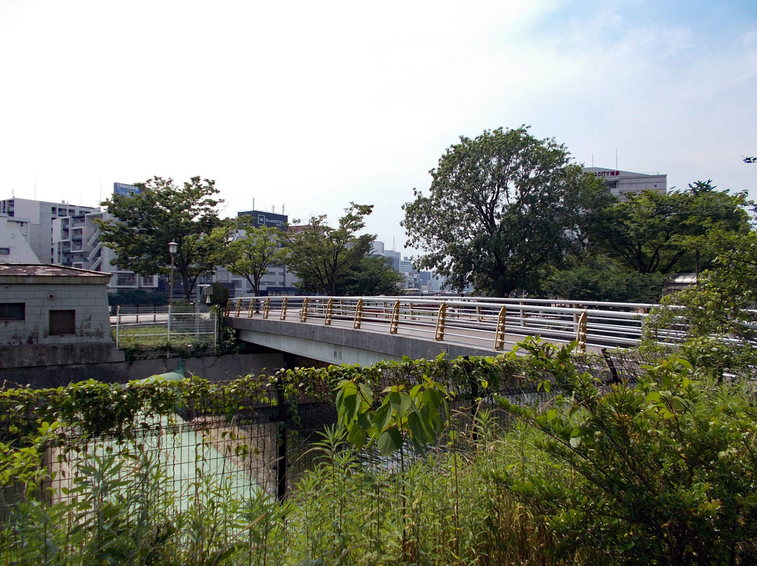 Seiryu Park景点图片