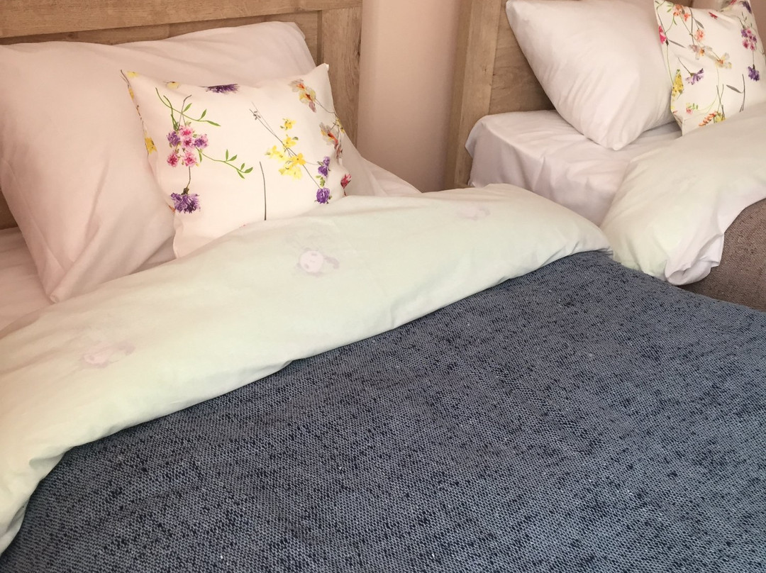Homey Hostel主图