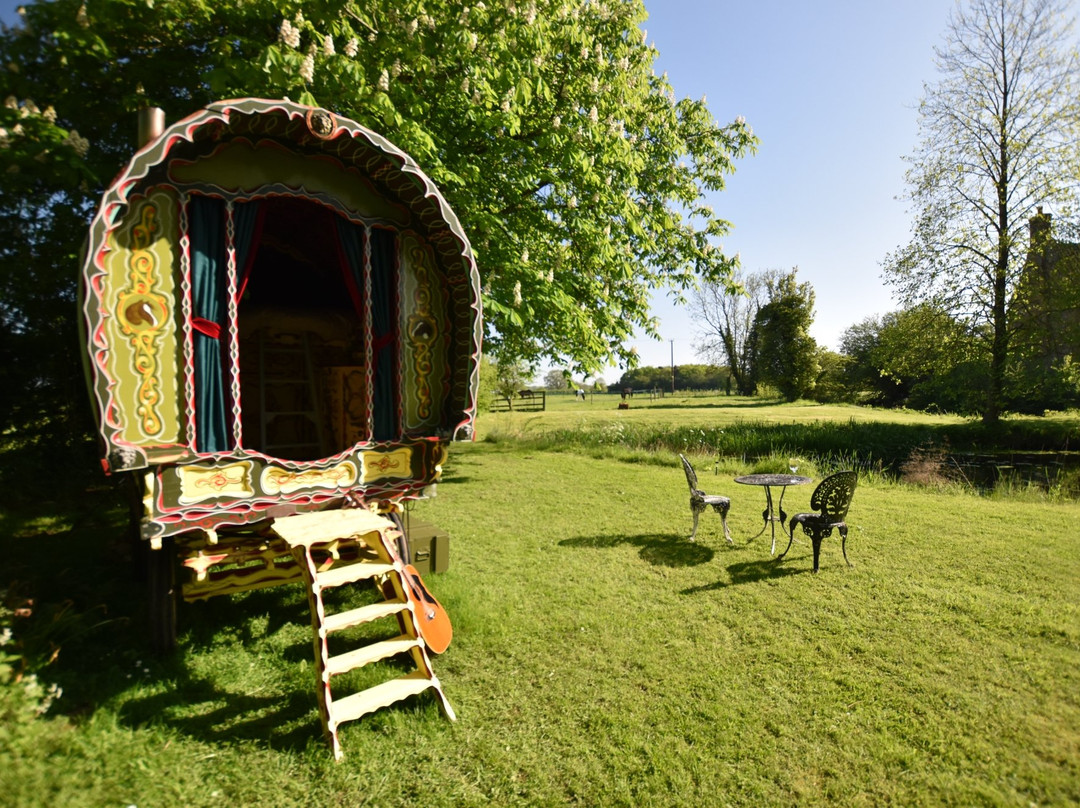Bedingham Hall Farm