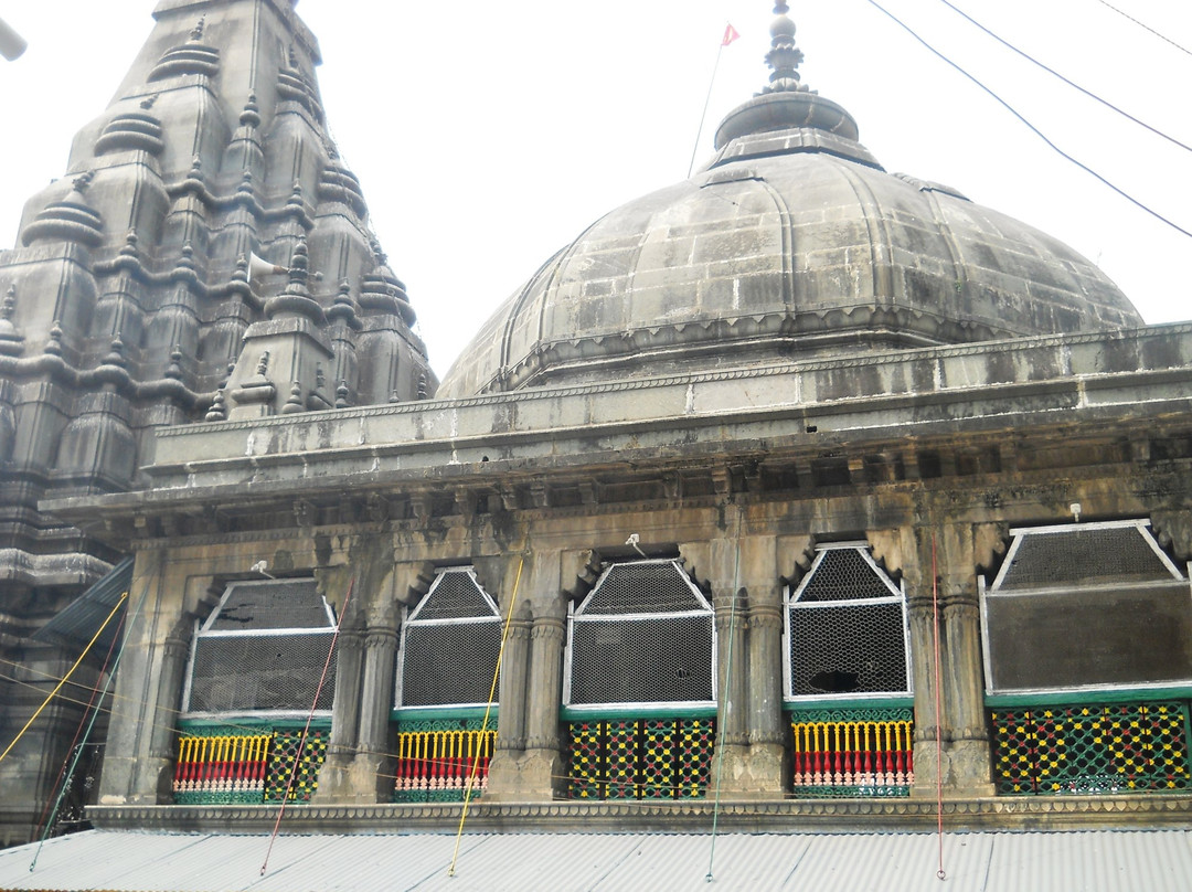Bodhi Tree-菩提伽耶必去景点