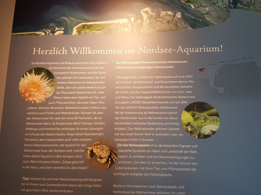 Nordseeaquarium Borkum-Borkum必去景点