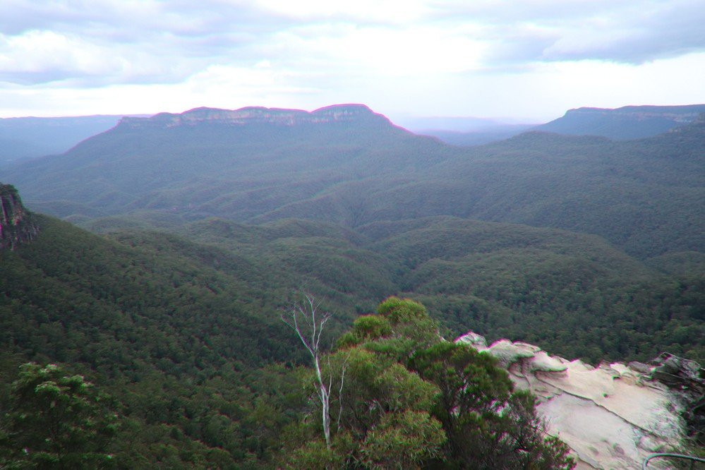 Lady Darley Lookout Track景点图片