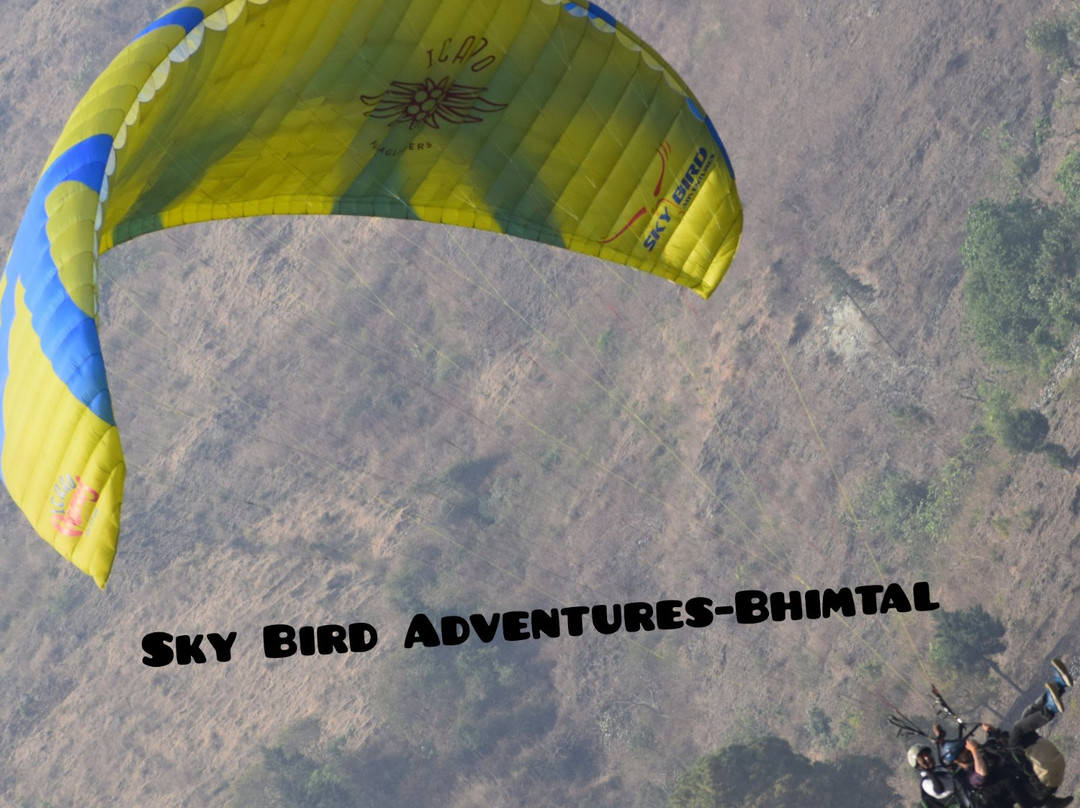 Sky Bird Adventures景点图片
