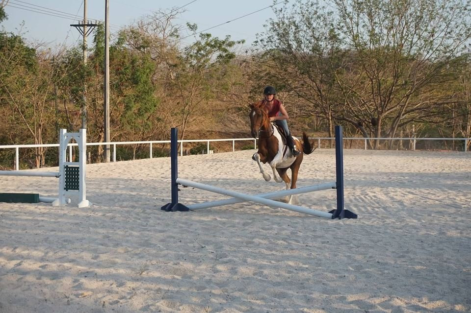 Perla Del Mar Equestrian Center景点图片