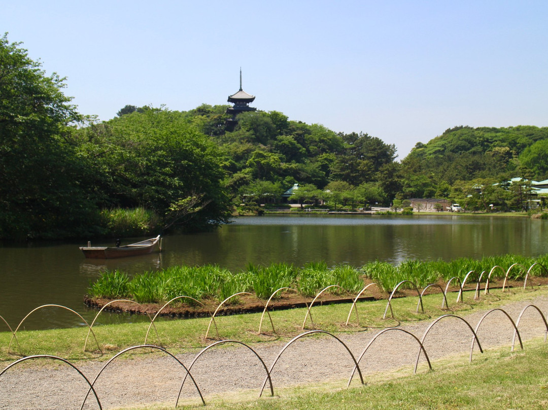 Yuka Yoshida-横滨市必去景点