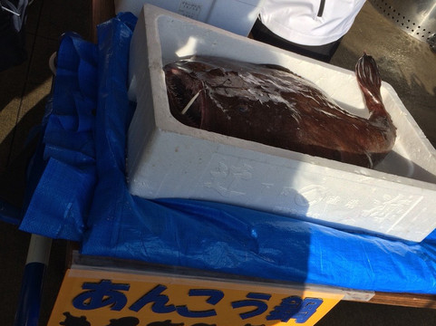 Shimonoseki Fishing Port-下关市必去景点