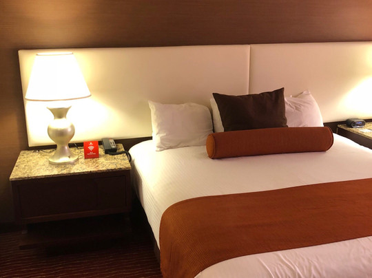 Olivet酒店住宿-Firekeepers Casino Hotel