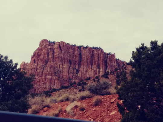 Zions Most Wanted Hotel主图