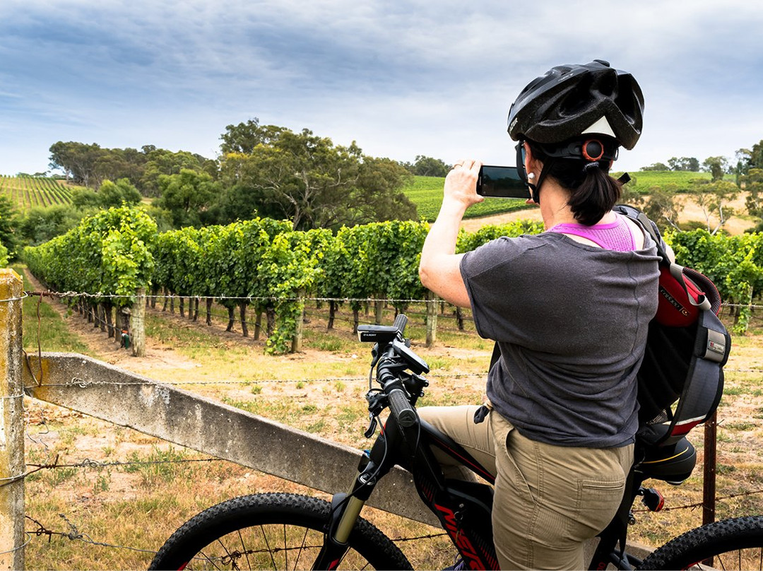 Velo de Vines-Woodside必去景点