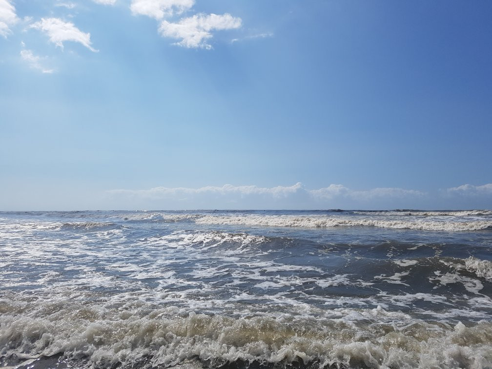 Oasis Beach景点图片