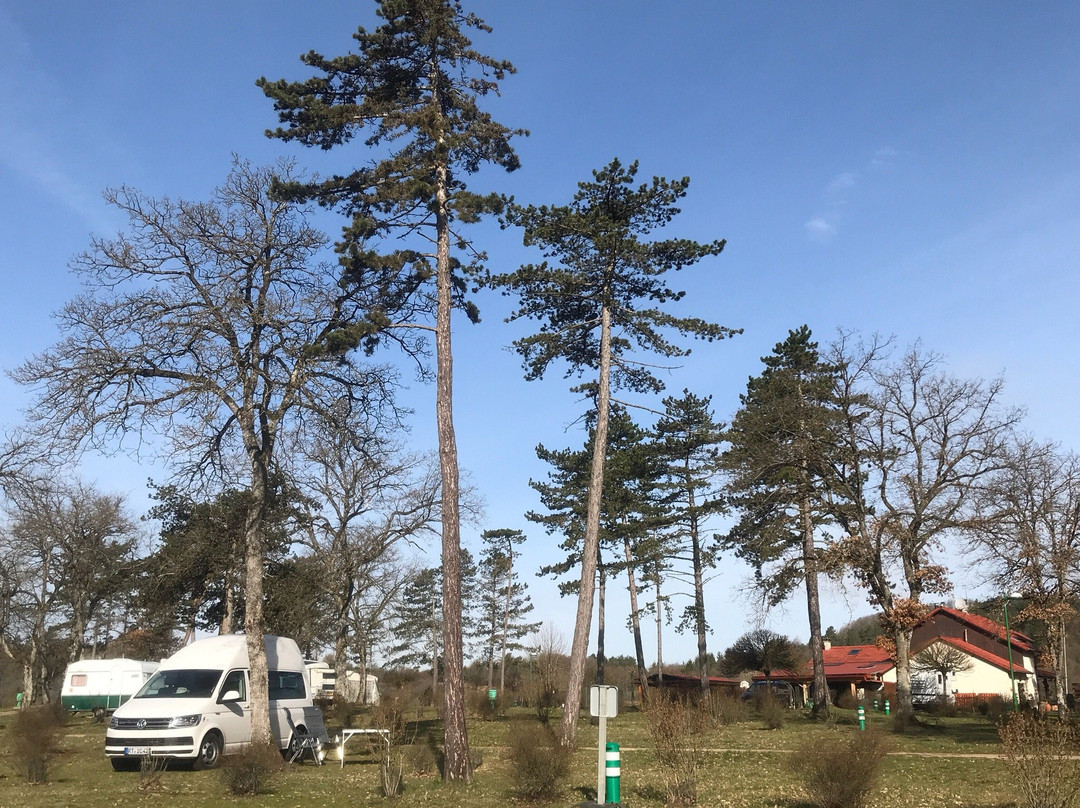 Chambley-Bussieres餐馆和美食-Camping De La Pelouse