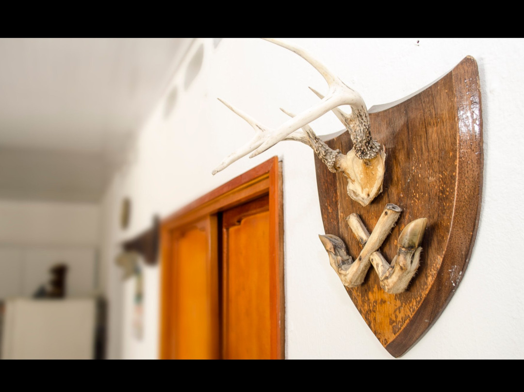 Hotel el Negro主图