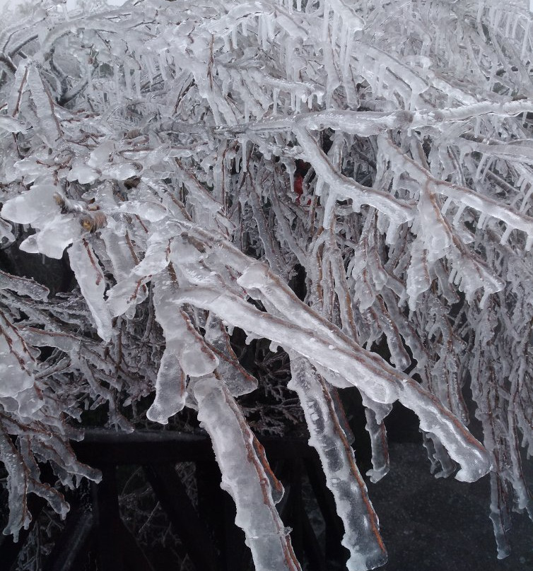 砂岩峰林地质公园-张家界市必去景点