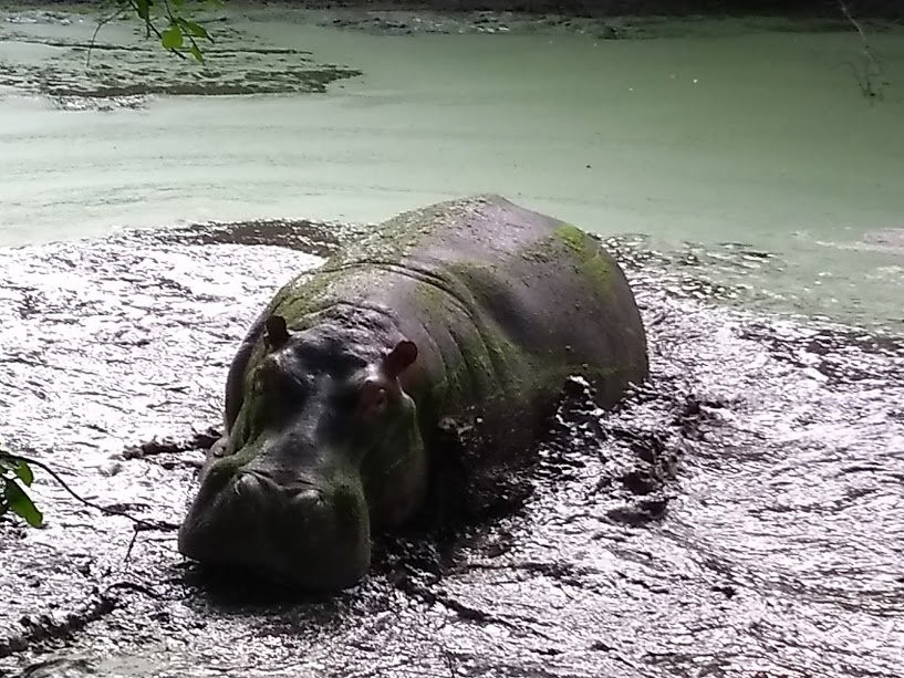 Nyasa Adventures-布兰岱必去景点