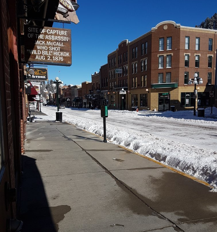 The Hotel By Gold Dust主图