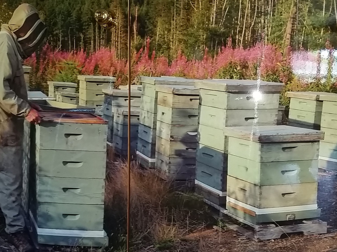 Tugwell Creek Honey Farm and Meadery景点图片