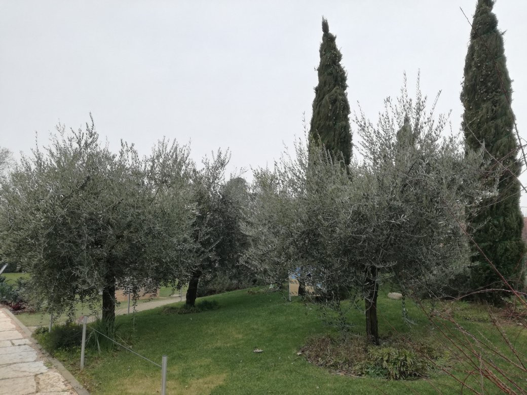 Il Giardino degli Angeli景点图片