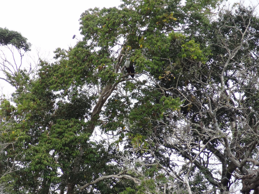 Shimba Hills Lodge主图