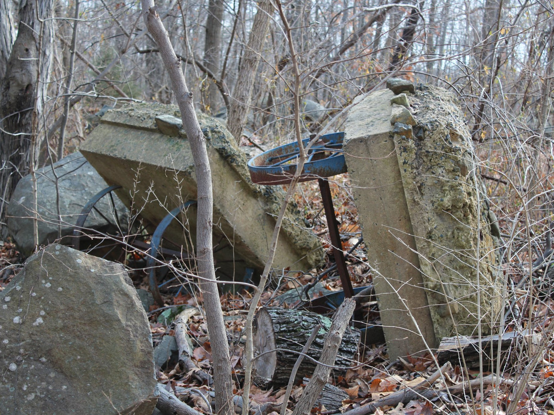 Ringing Rocks Park-Potts Grove必去景点