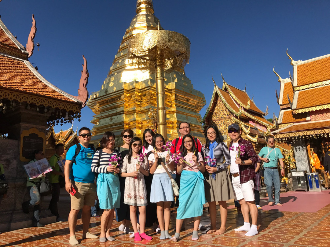 Pon Elephant Thailand-清迈必去景点