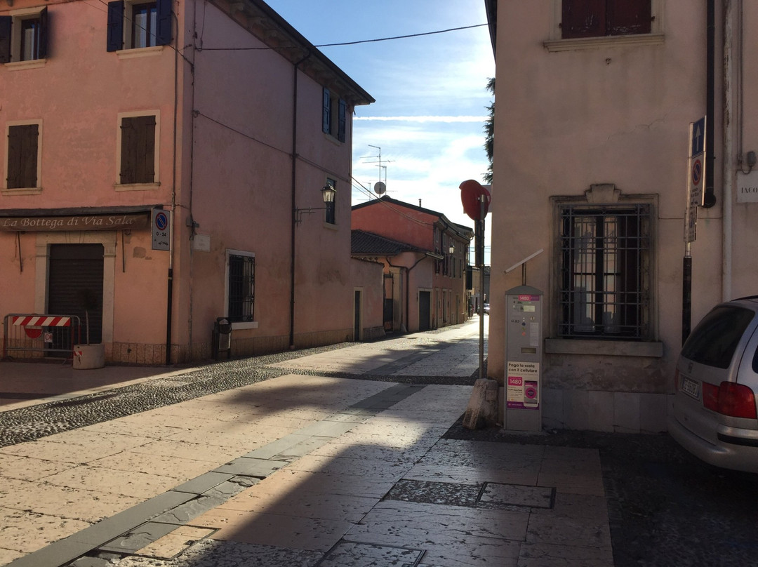 Palazzo comunale di Valeggio sul Mincio景点图片