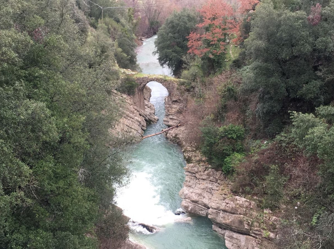 B&B La Sorgente Felitto主图