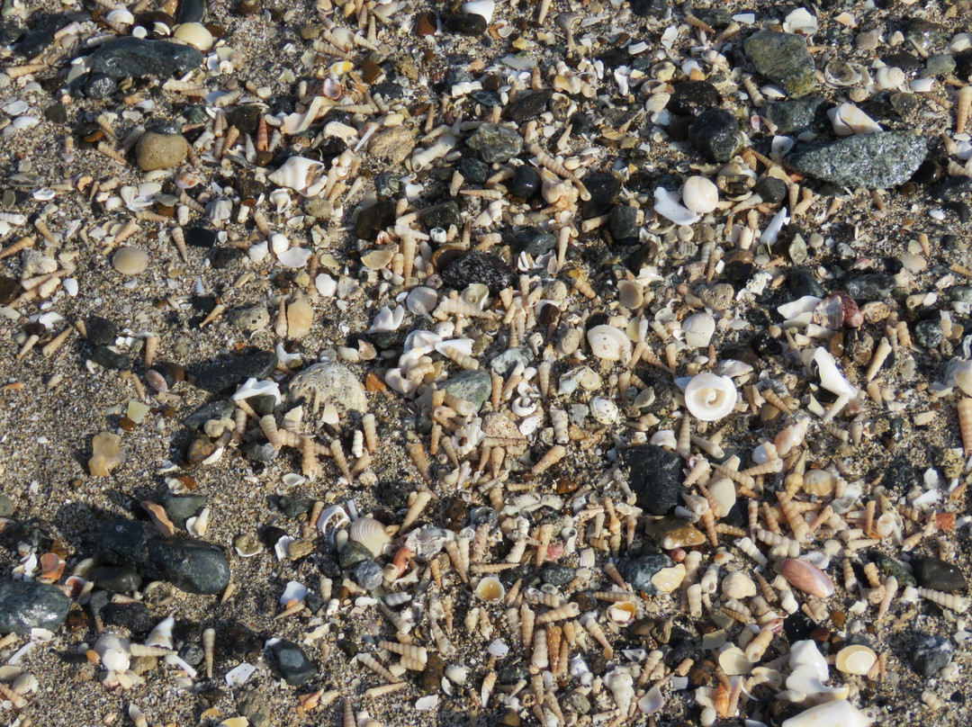 Kalba Corniche Park-富查伊拉必去景点