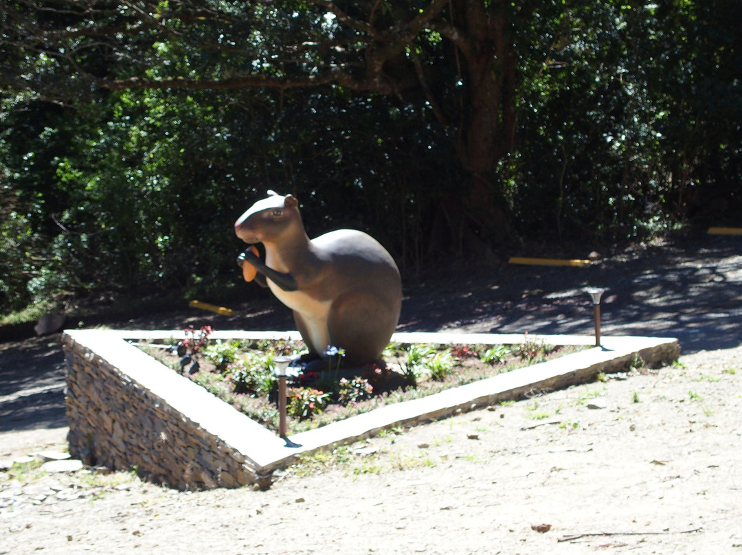 Aguti Monteverde - Wildlife Reserve-圣埃伦娜必去景点