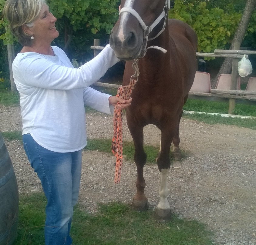 Maneggio Madre Terra-佛罗伦萨必去景点