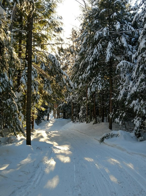 Viking Nordic Center-Londonderry必去景点