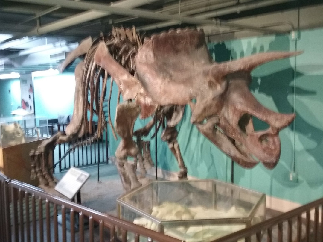 Science Spectrum Museum-拉伯克县必去景点