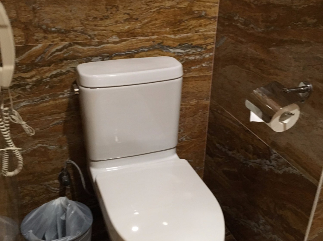 金凯盛誉城大酒店主图