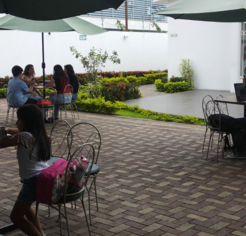 Alliance Francaise-瓜亚基尔必去景点