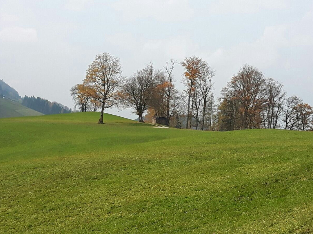 Losenstein餐馆和美食-Café Restaurant Petermühle