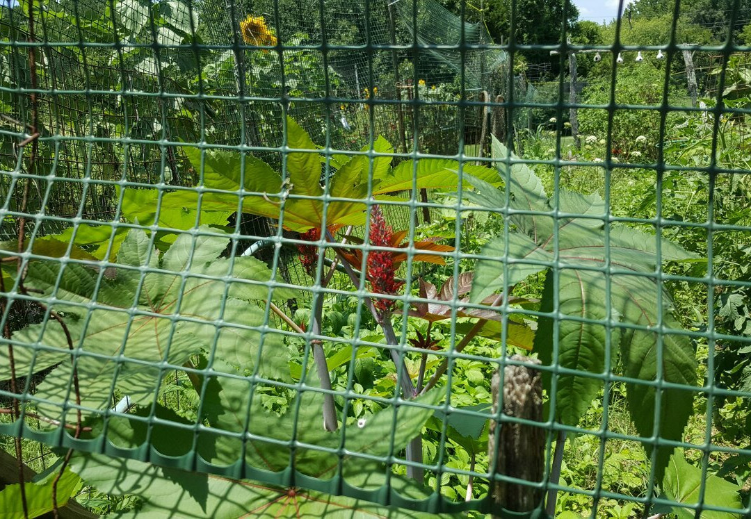 Greenway Farms Conference Center-Hixson必去景点
