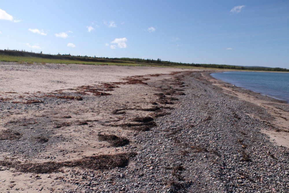 Pomquet Beach Provincial Park景点图片