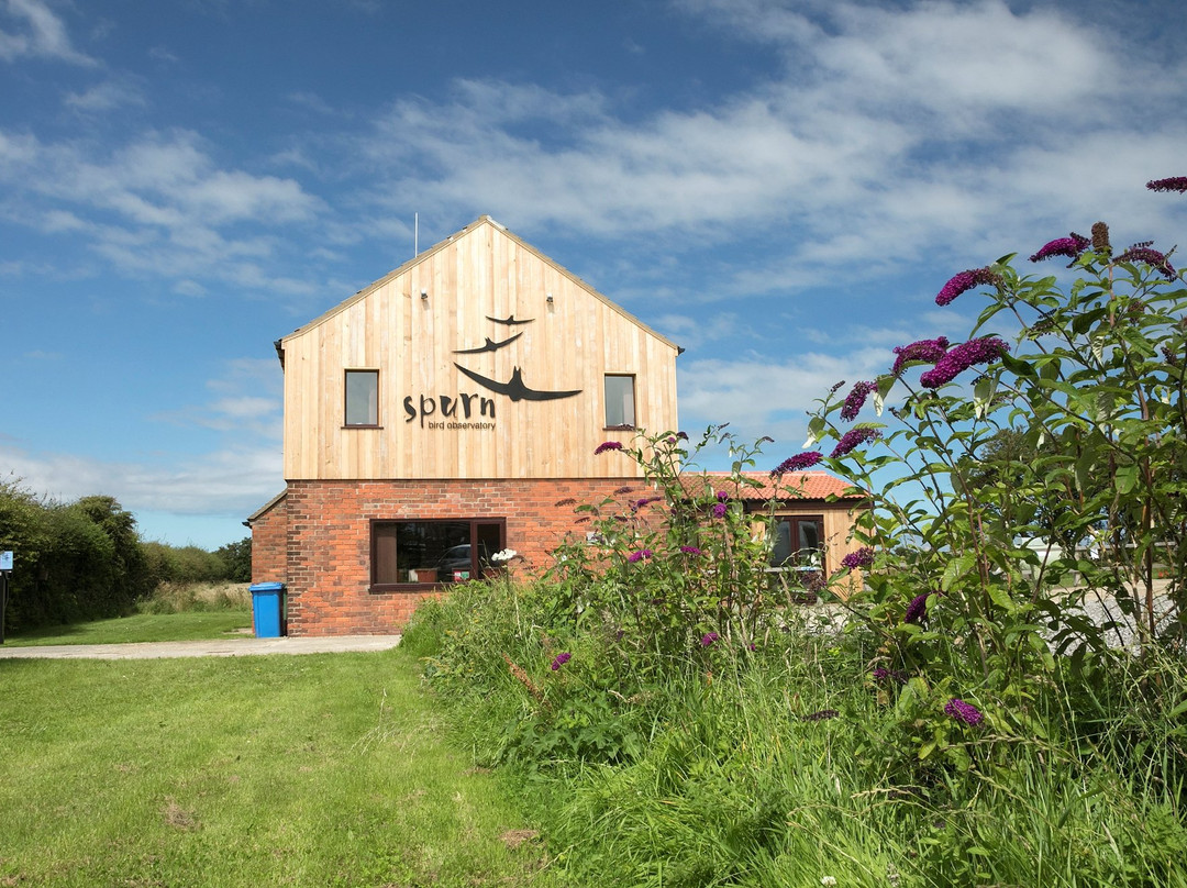 Spurn Bird Observatory景点图片