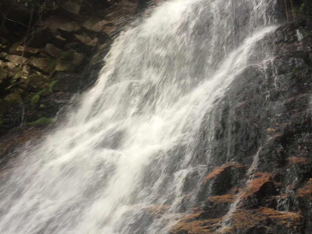 Cascada la Honda景点图片