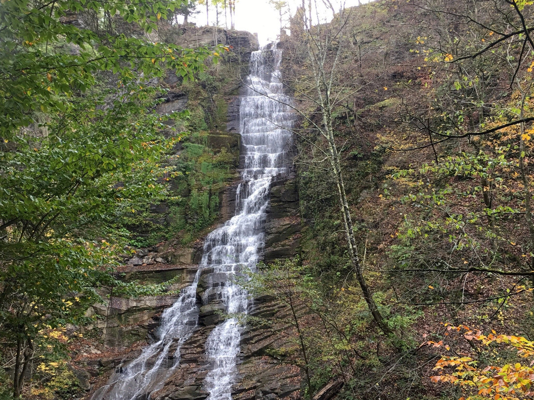 Pratt's Falls Park-Manlius必去景点