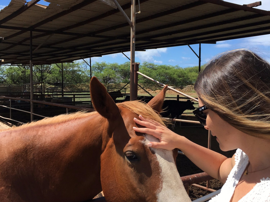 Naked Cow Dairy Farm & Creamery-怀厄奈必去景点