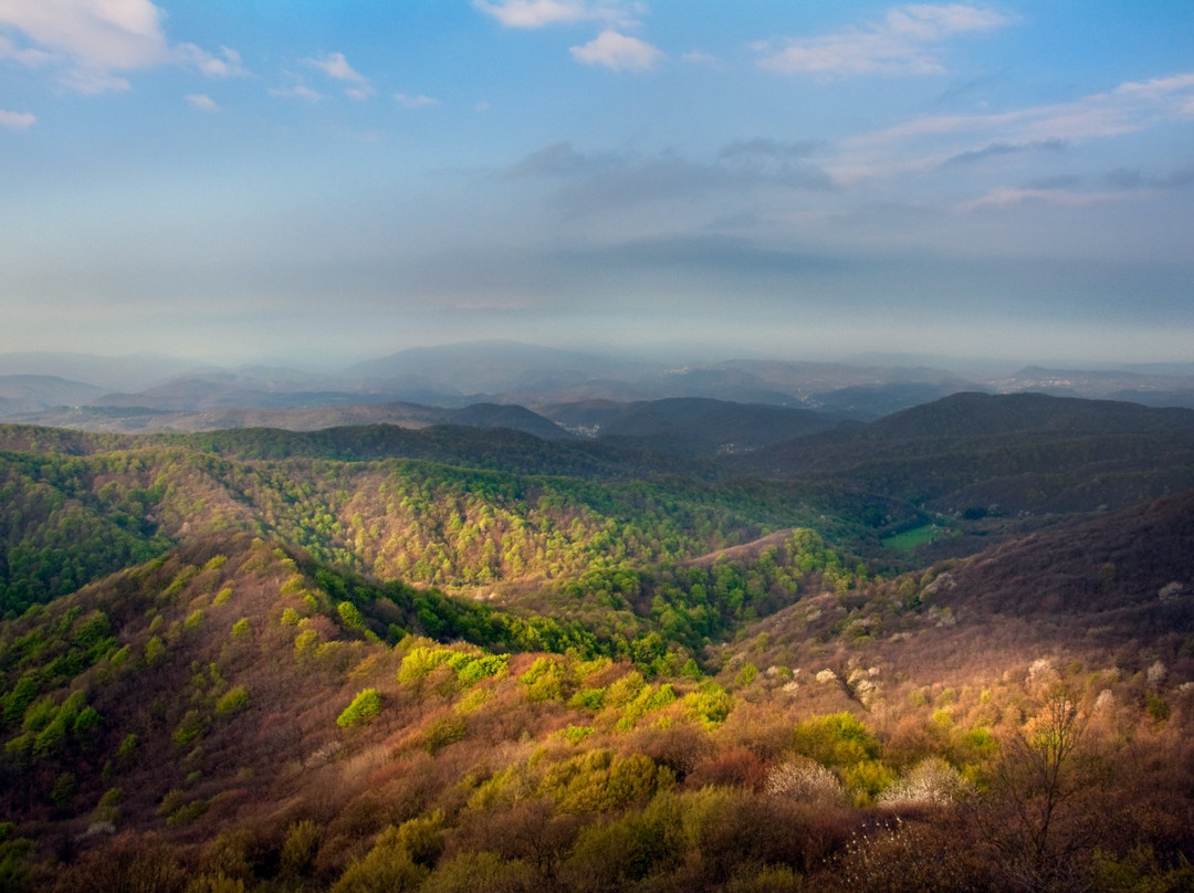 Riserva Naturale Regionale dell'Adelasia-Cairo Montenotte必去景点