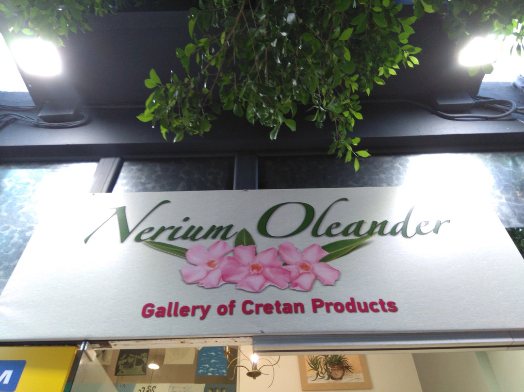 Nerium Oleander-伊拉克利翁必去景点