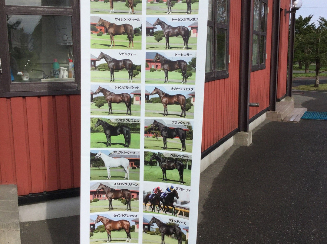 Breeders Stallions Station-日高町必去景点