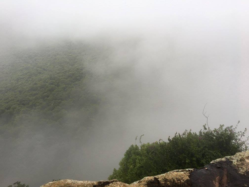Biligiri Ranganath Hills景点图片