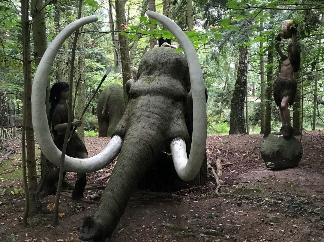 Erse Park Uetze-Uetze-Dedenhausen必去景点