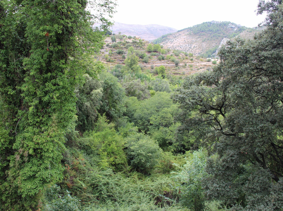 Barranc de Racons景点图片
